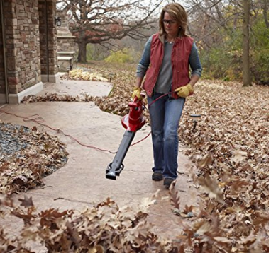 Toro 51621 UltraPlus Leaf Blower Vacuum, Variable-Speed (up to 250 mph) with Metal Impeller, 12 amp
